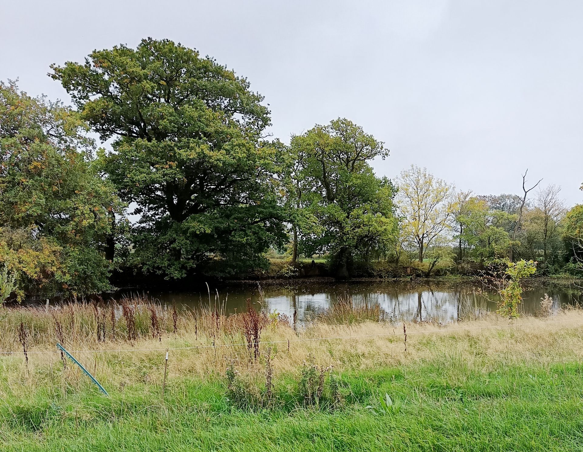 Open countryside and trees